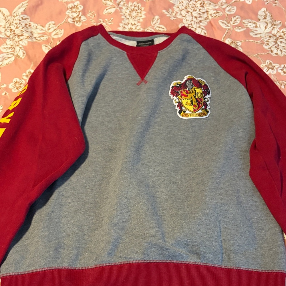 (L) Gryffindor Red and Gray Men's Sweater